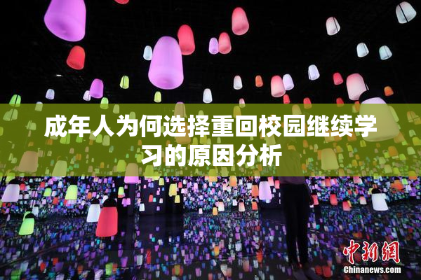 成年人为何选择重回校园继续学习的原因分析