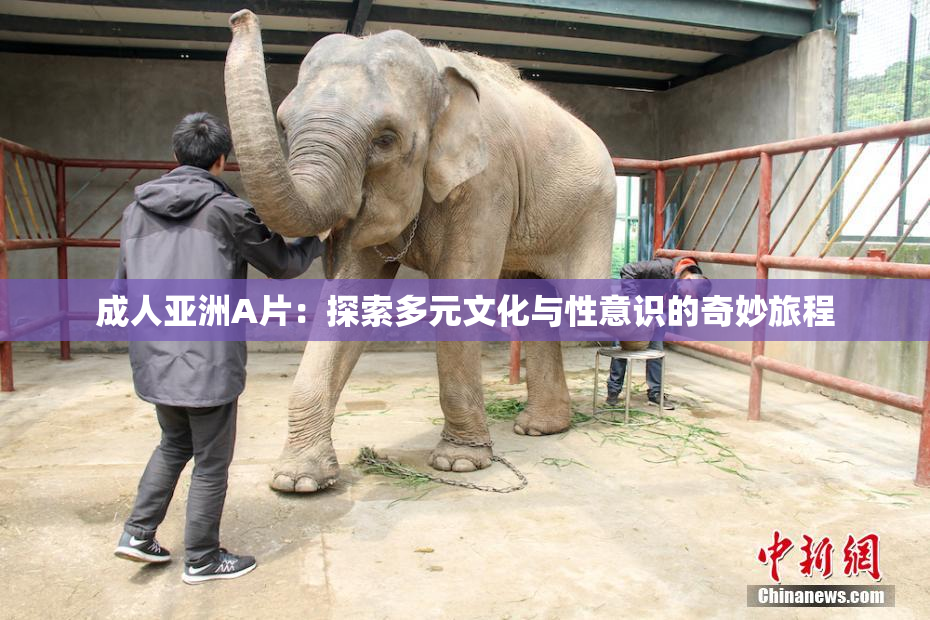 成人亚洲A片：探索多元文化与性意识的奇妙旅程