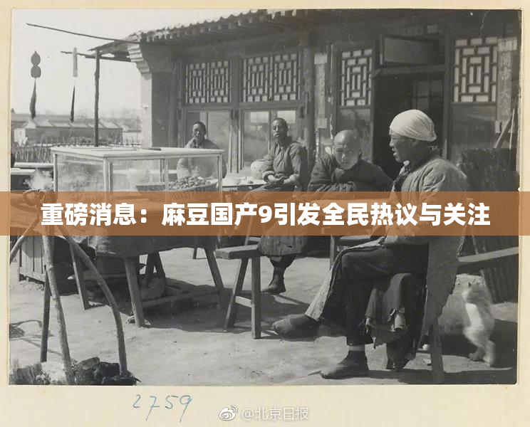 重磅消息：麻豆国产9引发全民热议与关注