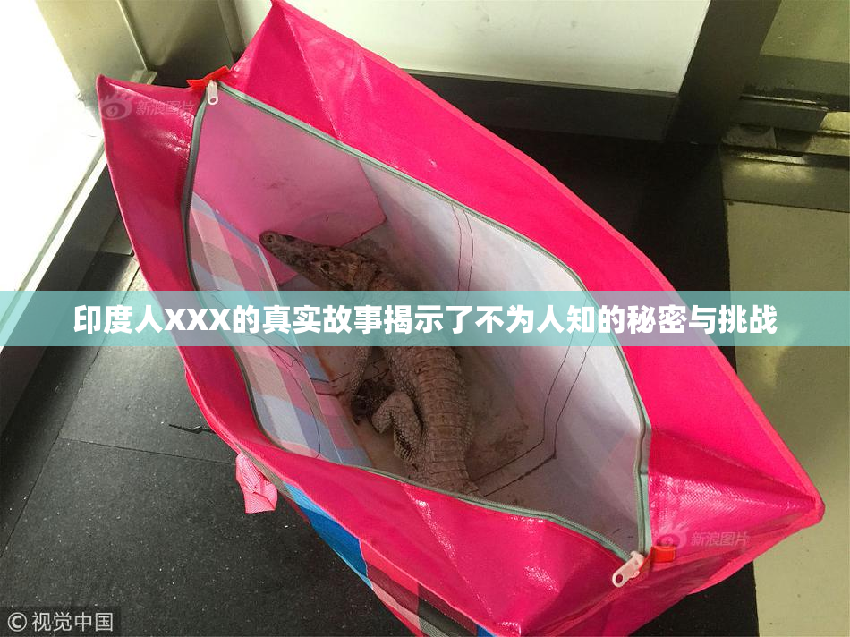 印度人XXX的真实故事揭示了不为人知的秘密与挑战