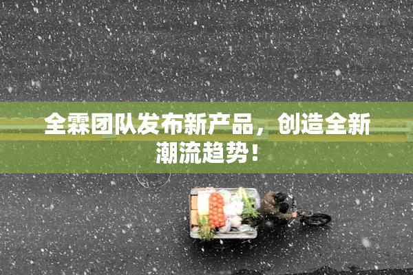 全霖团队发布新产品，创造全新潮流趋势！