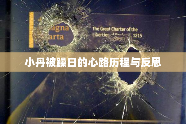 小丹被躁日的心路历程与反思