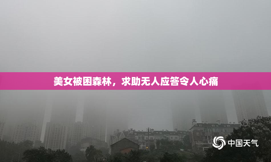 美女被困森林，求助无人应答令人心痛
