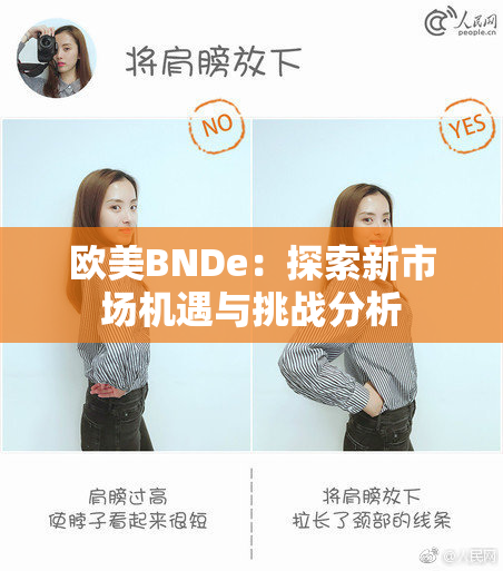 欧美BNDe：探索新市场机遇与挑战分析