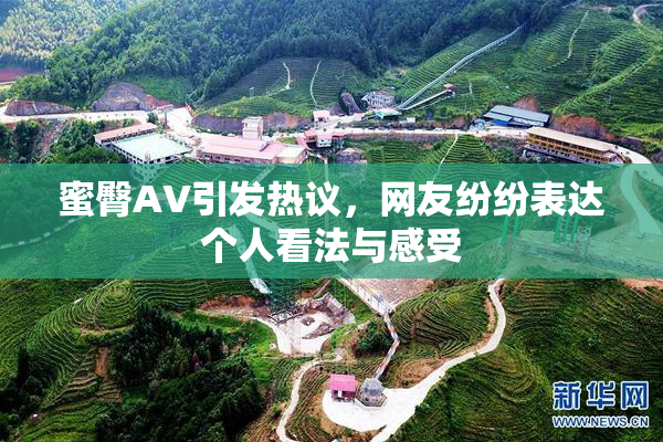 蜜臀AV引发热议，网友纷纷表达个人看法与感受