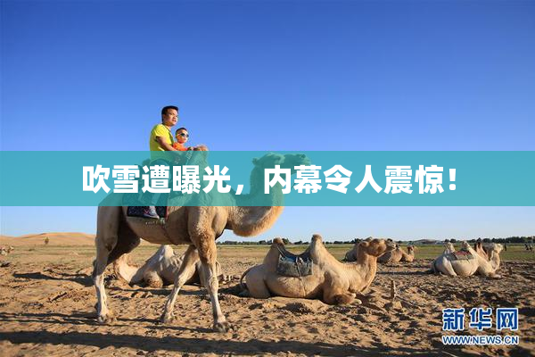 吹雪遭曝光，内幕令人震惊！