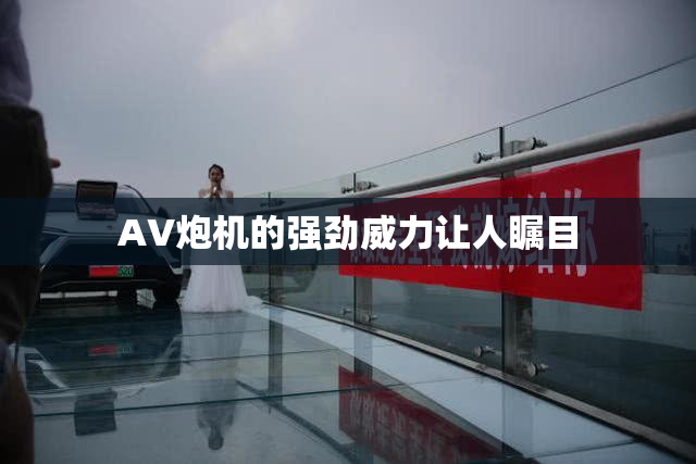 AV炮机的强劲威力让人瞩目
