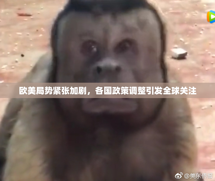 欧美局势紧张加剧，各国政策调整引发全球关注