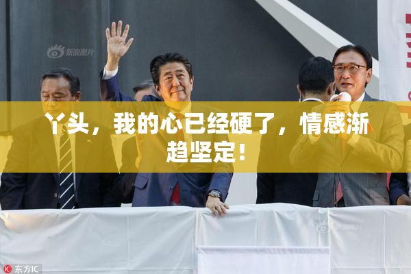 丫头，我的心已经硬了，情感渐趋坚定！