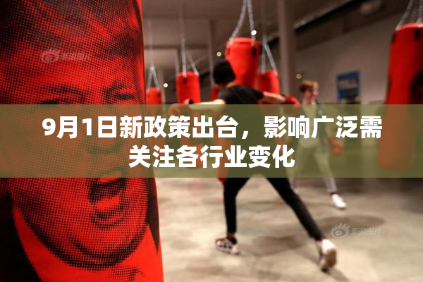 9月1日新政策出台，影响广泛需关注各行业变化