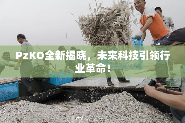 PzKO全新揭晓，未来科技引领行业革命！