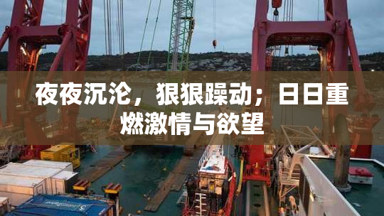 夜夜沉沦，狠狠躁动；日日重燃激情与欲望