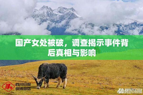 国产女处被破，调查揭示事件背后真相与影响