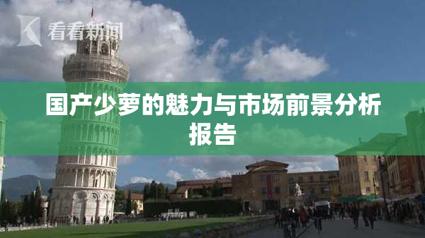 国产少萝的魅力与市场前景分析报告