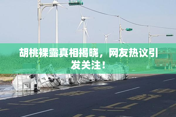 胡桃裸露真相揭晓，网友热议引发关注！