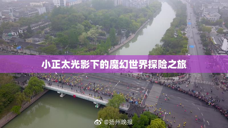 小正太光影下的魔幻世界探险之旅