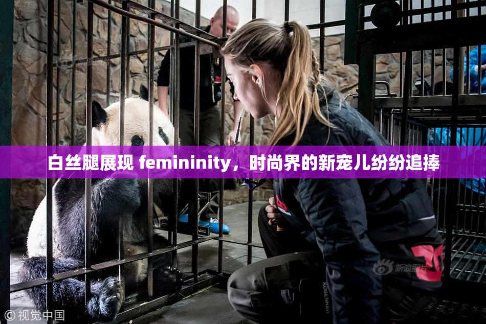 白丝腿展现 femininity，时尚界的新宠儿纷纷追捧