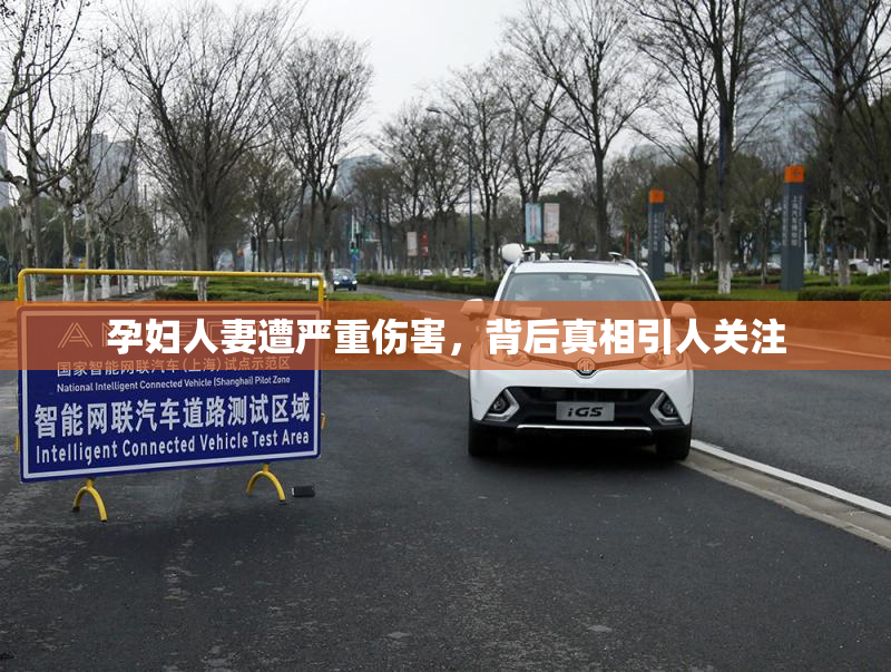 孕妇人妻遭严重伤害，背后真相引人关注