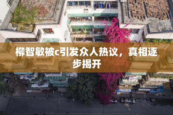 柳智敏被c引发众人热议，真相逐步揭开