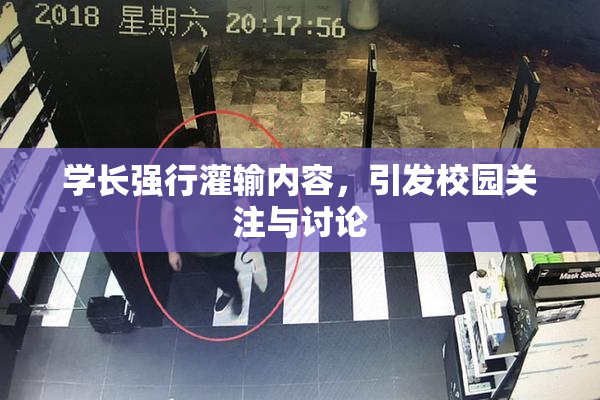 学长强行灌输内容，引发校园关注与讨论