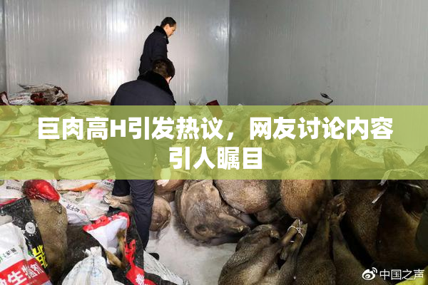 巨肉高H引发热议，网友讨论内容引人瞩目