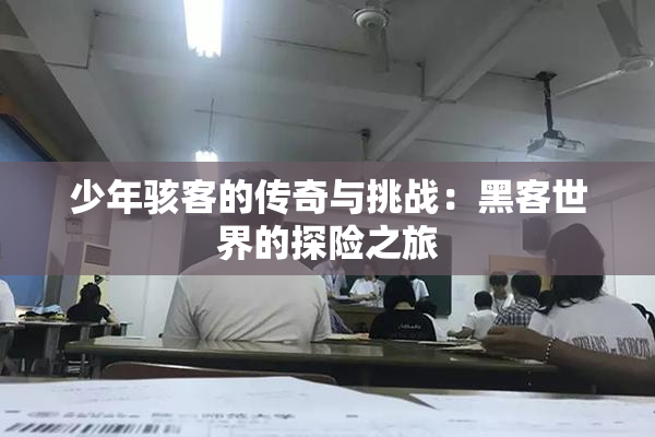 少年骇客的传奇与挑战：黑客世界的探险之旅