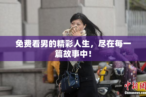 免费看男的精彩人生，尽在每一篇故事中！