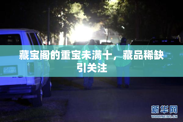 藏宝阁的重宝未满十，藏品稀缺引关注