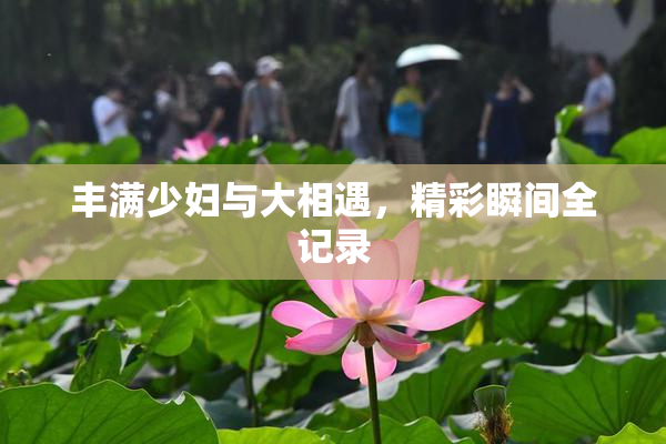 丰满少妇与大相遇，精彩瞬间全记录
