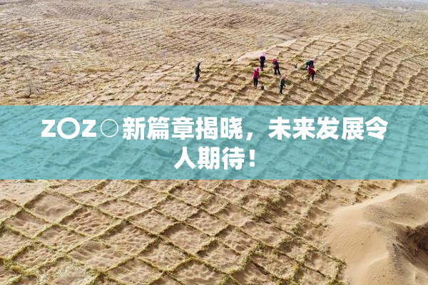Z〇Z○新篇章揭晓，未来发展令人期待！