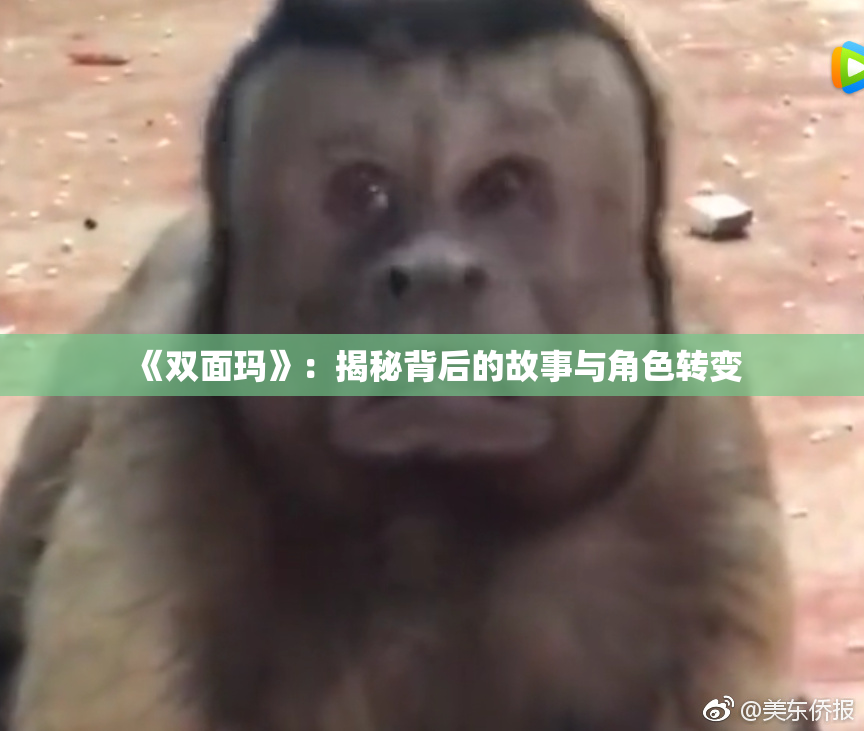 《双面玛》：揭秘背后的故事与角色转变