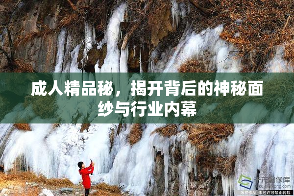 成人精品秘，揭开背后的神秘面纱与行业内幕