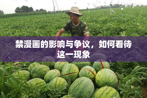 禁漫画的影响与争议，如何看待这一现象