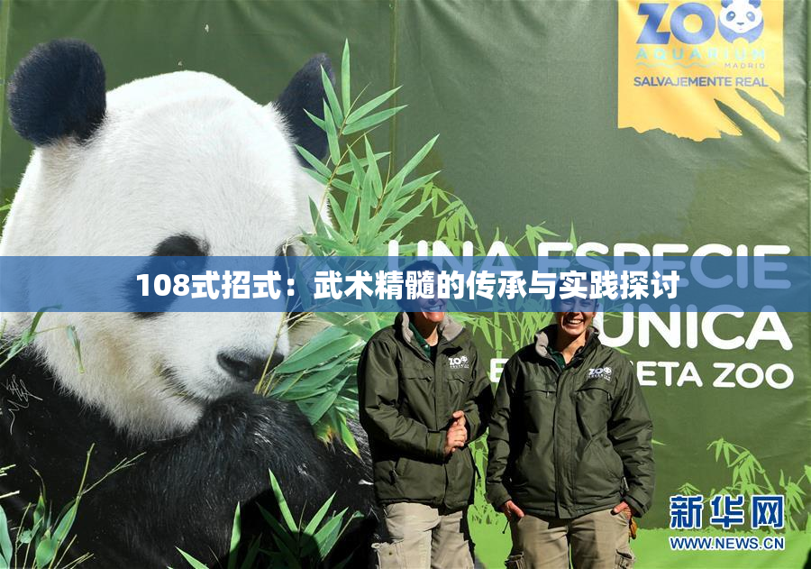 108式招式：武术精髓的传承与实践探讨