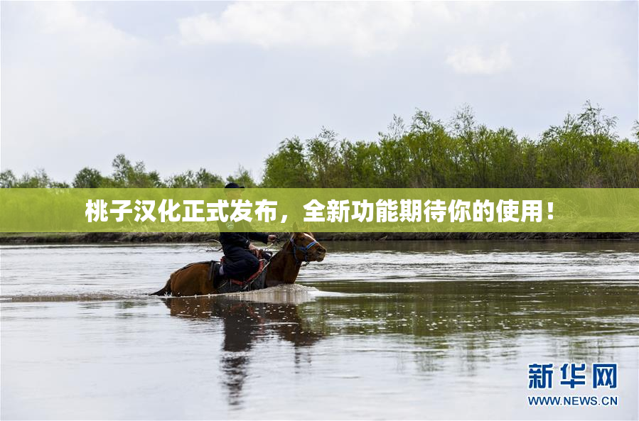 桃子汉化正式发布，全新功能期待你的使用！