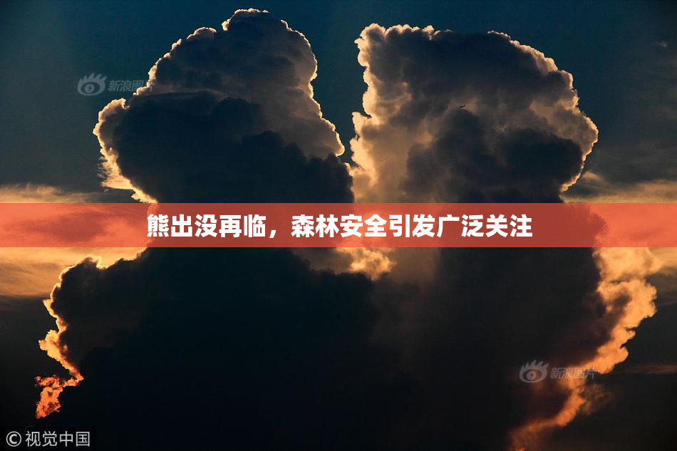 熊出没再临，森林安全引发广泛关注