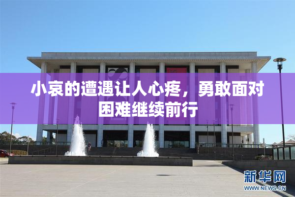 小哀的遭遇让人心疼，勇敢面对困难继续前行