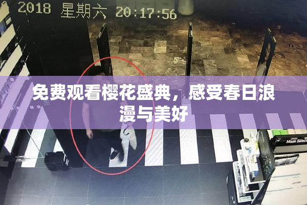 免费观看樱花盛典，感受春日浪漫与美好