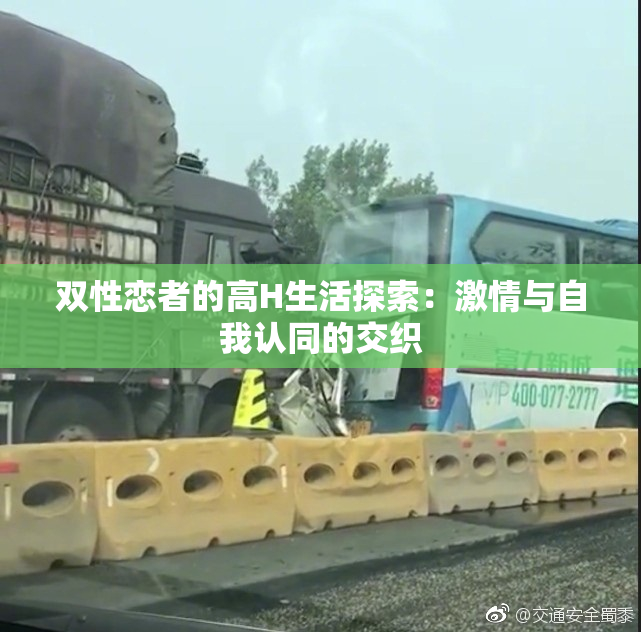 双性恋者的高H生活探索：激情与自我认同的交织