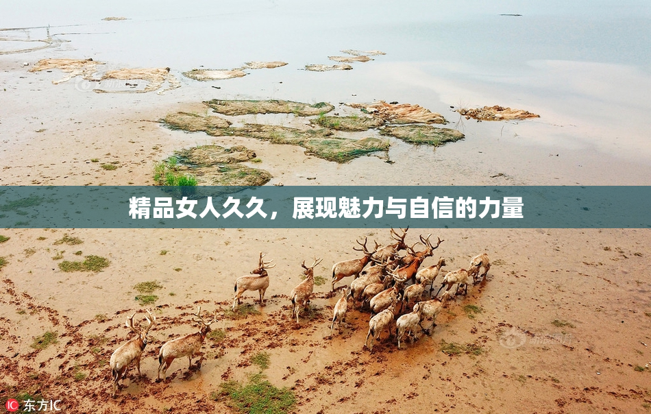 精品女人久久，展现魅力与自信的力量