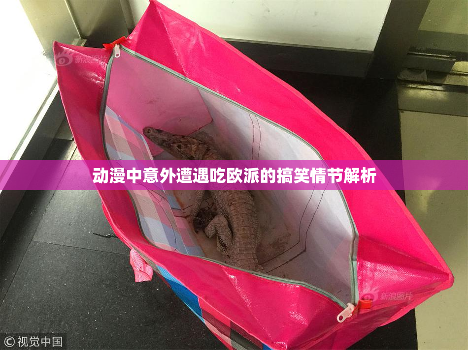 动漫中意外遭遇吃欧派的搞笑情节解析