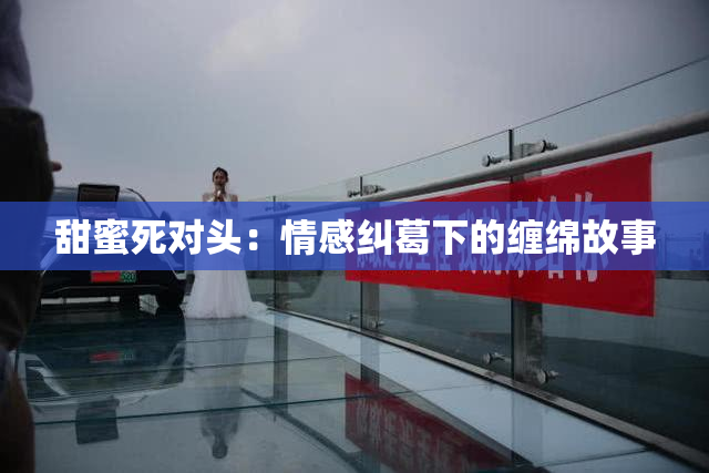 甜蜜死对头：情感纠葛下的缠绵故事