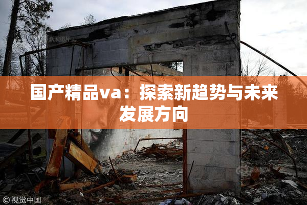 国产精品va：探索新趋势与未来发展方向