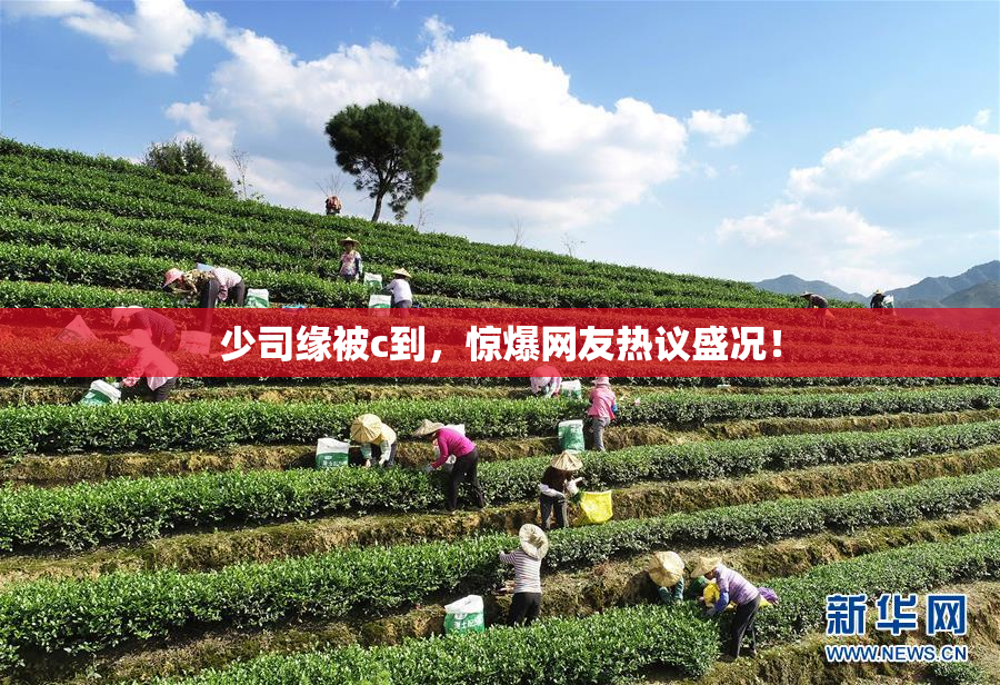 少司缘被c到，惊爆网友热议盛况！