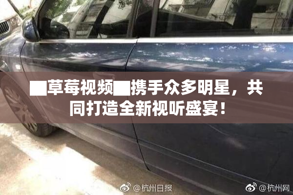 ▇草莓视频▇携手众多明星，共同打造全新视听盛宴！