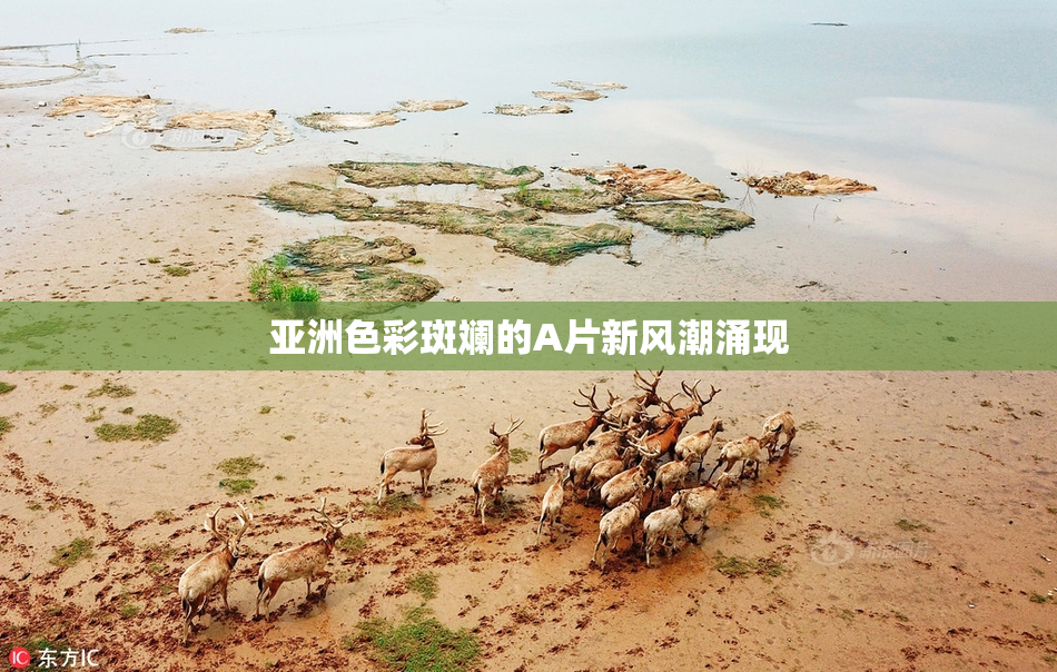 亚洲色彩斑斓的A片新风潮涌现