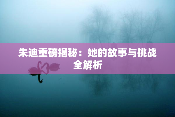 朱迪重磅揭秘：她的故事与挑战全解析