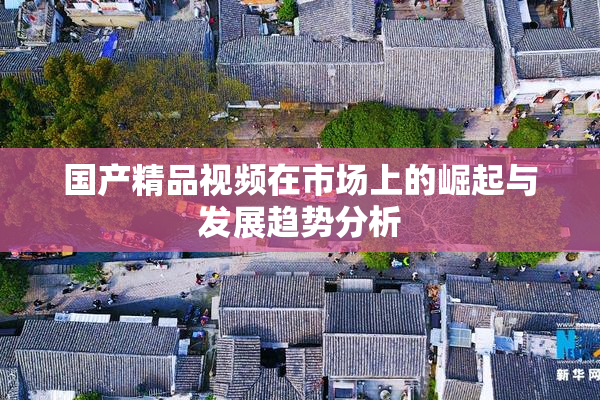 国产精品视频在市场上的崛起与发展趋势分析