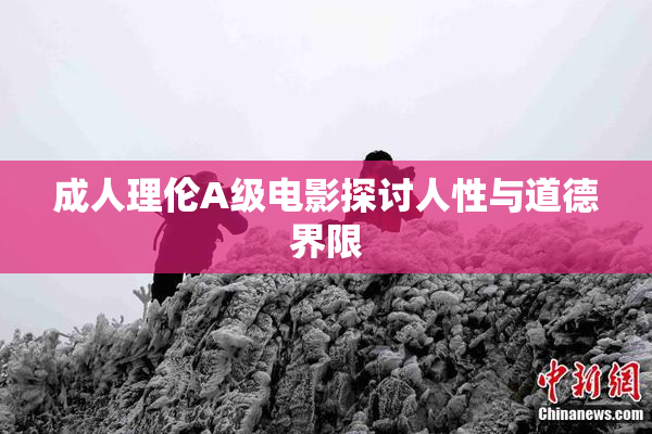 成人理伦A级电影探讨人性与道德界限