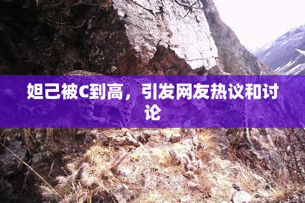 妲己被C到高，引发网友热议和讨论